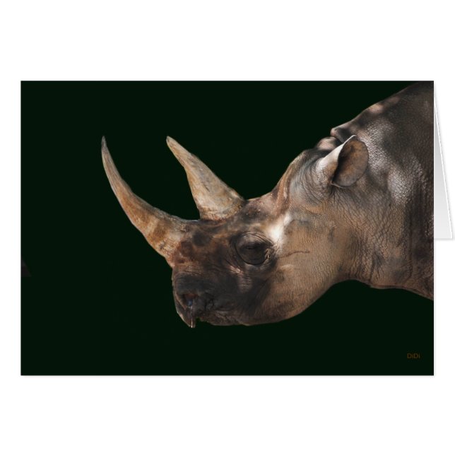 Cartão Rinoceronte (Frente Horizontal)