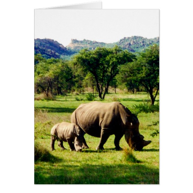 Cartão rinoceronte (Frente)