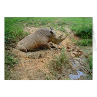 Cartão Rinoceronte