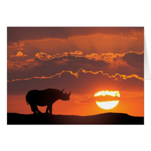 Cartão Rinoceronte ao pôr do sol, Masai Mara, Quênia