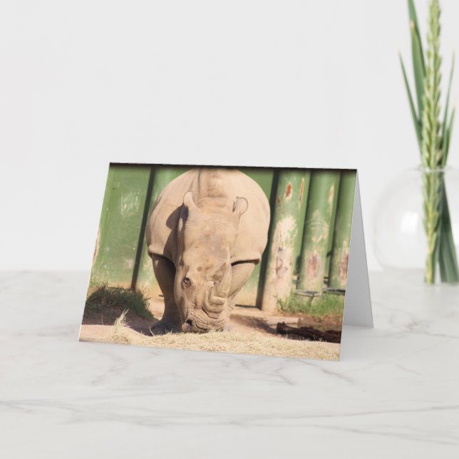 Cartão Rinoceronte branco (Frente)