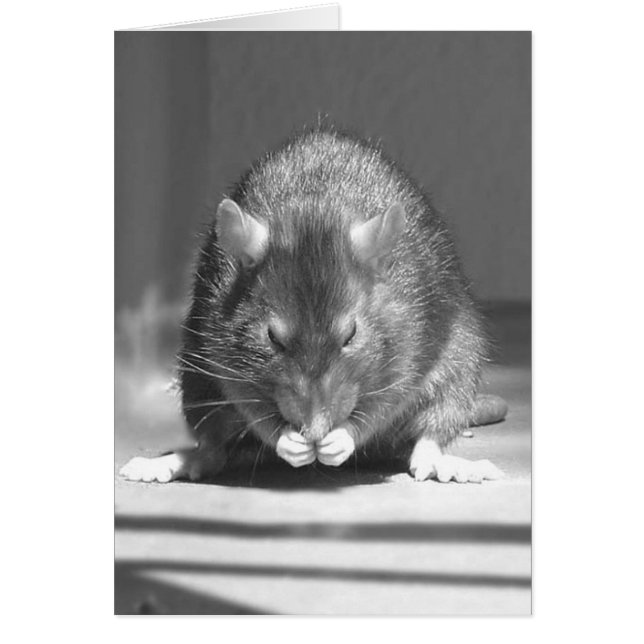 Cartão rio (Frente)