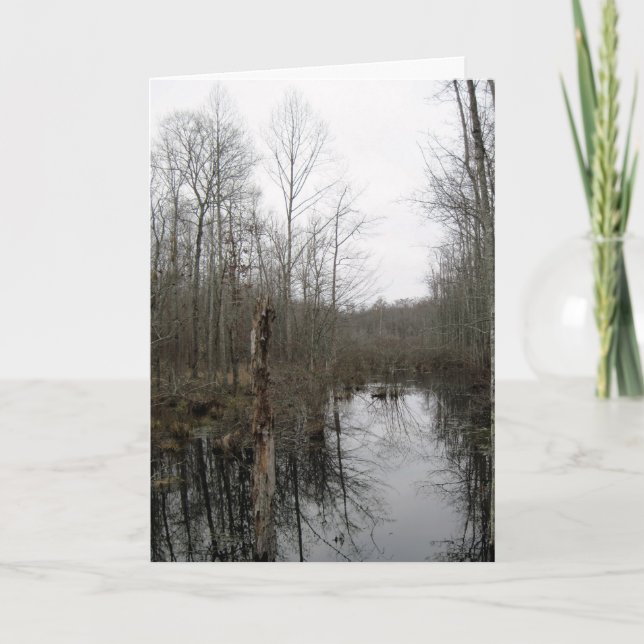 Cartão Rio através da natureza (Frente)