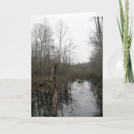 Cartão Rio através da natureza