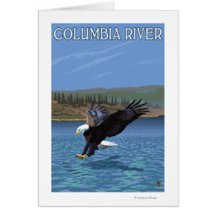 Cartão Rio Columbia, Washington Eagle Diving