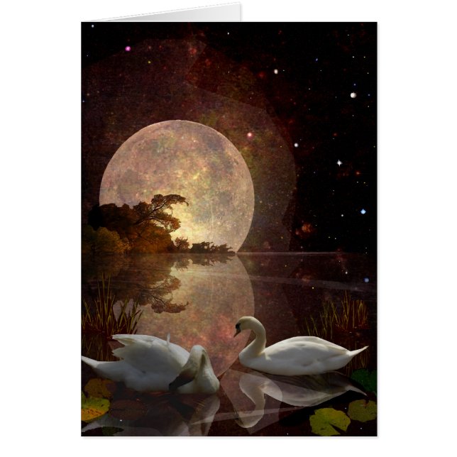 Cartão Rio estrelado (Frente)