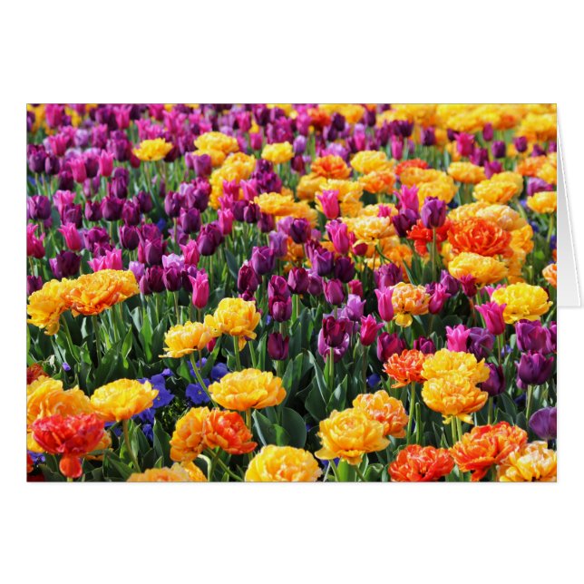 Cartão Rio Floral Falln Sunset (Frente Horizontal)