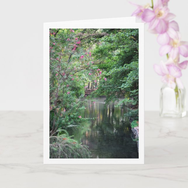 Cartão rio lago San Vicente de Liria em Valência Espanha (Orquídea)