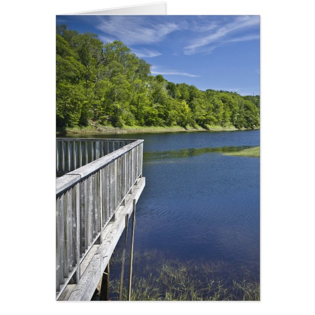 Cartão Rio Urso, NS (Frente)