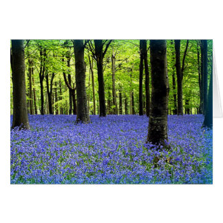 Cartão Risco De Azul