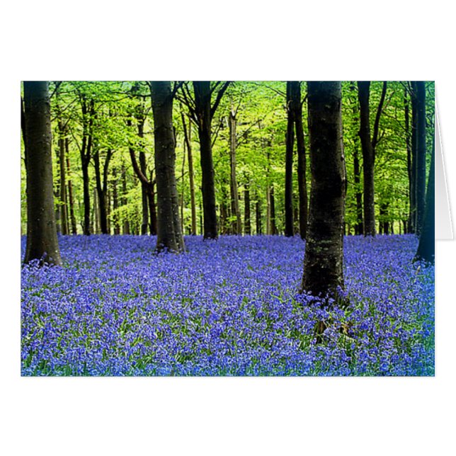 Cartão Risco De Azul (Frente Horizontal)