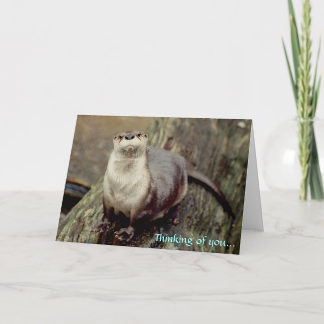 Cartão River Otter, pensando em você... (Frente)
