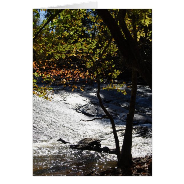 Cartão Riverside Sparkles (Frente)