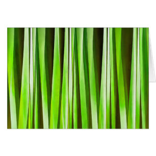 Cartão Riverweed verde tropical