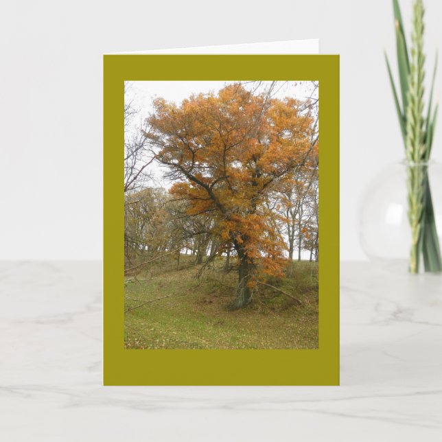 Cartão Roadside Oak Tree in Autumn on Blank Note Card (Frente)