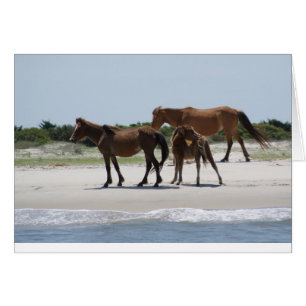 Cartão Roam Free II