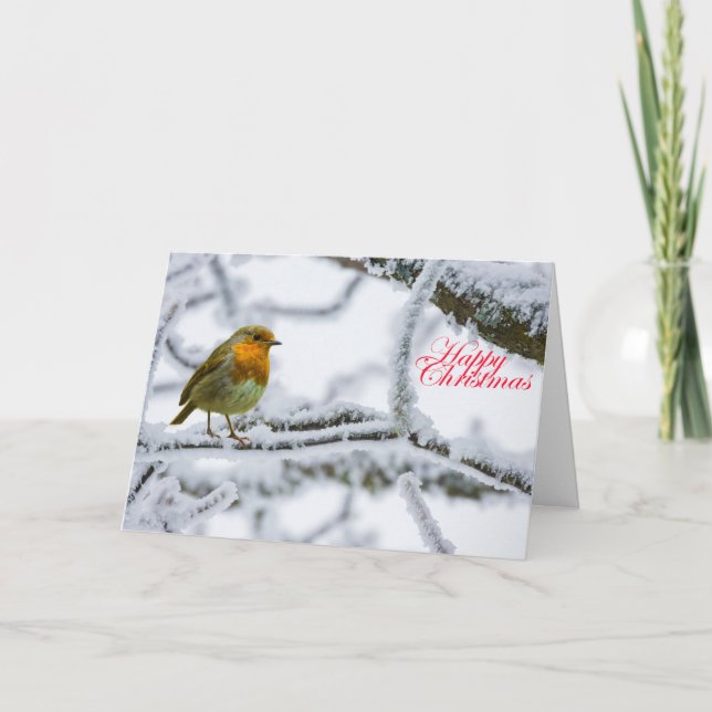 Cartão Robbin Redbreast (Frente)