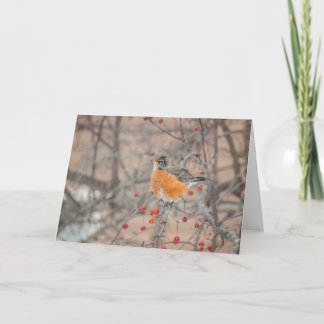 Cartão Robin 1