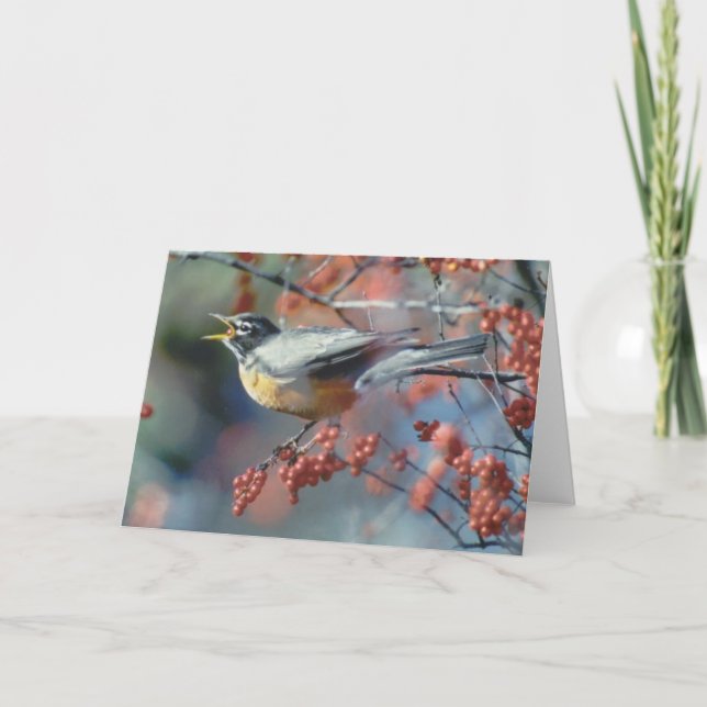 Cartão Robin comendo baga (Frente)