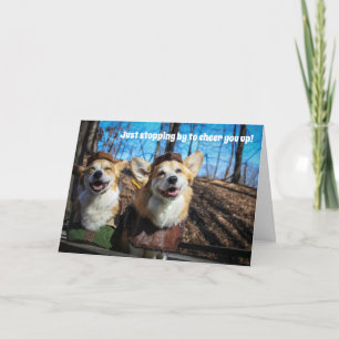 Cartão Robin Hood Corgi get well card