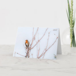 Cartão Robin Redbreast Note