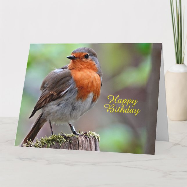 Cartão Robin Refbreast (Frente)