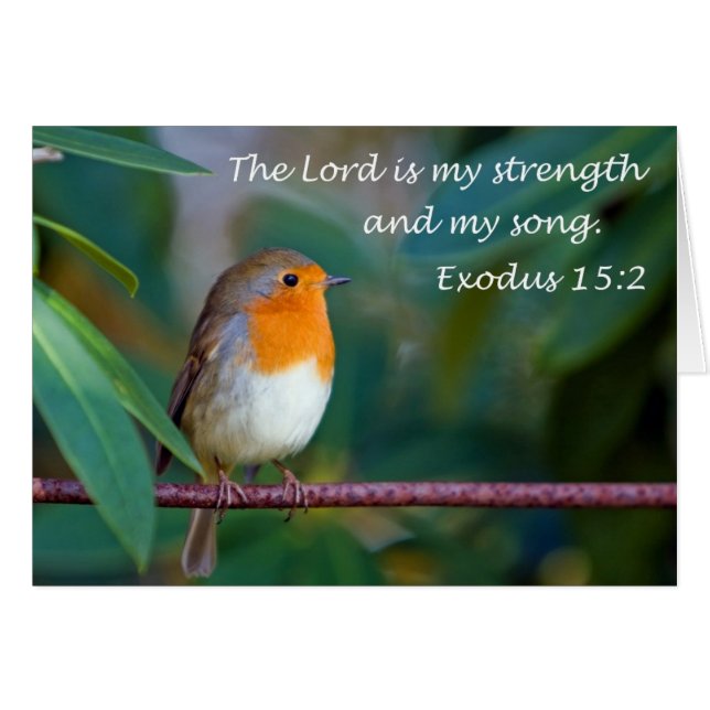 Cartão Robin Song Card (Frente Horizontal)