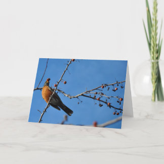 Cartão Robin with Berry in Beak - Greeting Card