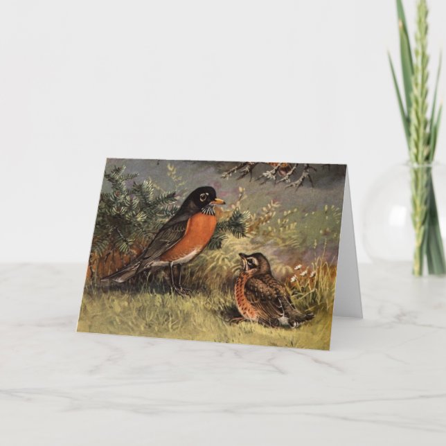 Cartão Robins Brooks (Frente)