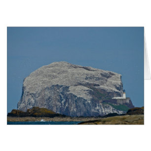 Cartão Rocha baixa
