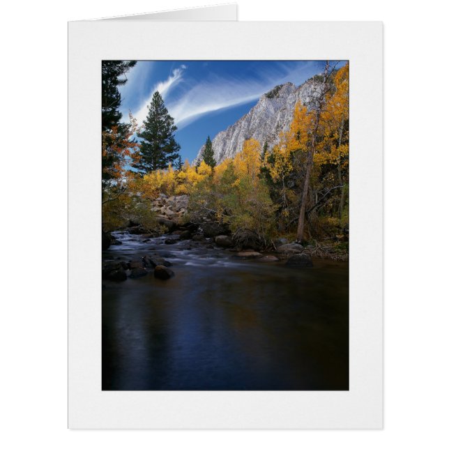 Cartão "Rock Creek Canyon Dourado" (Frente)