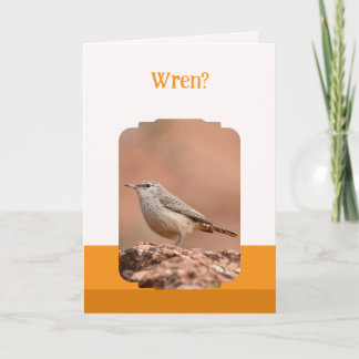 Cartão Rock Wren Folded Birthday Card