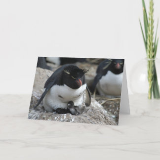 Cartão Rockhopper Penguin with Chicks