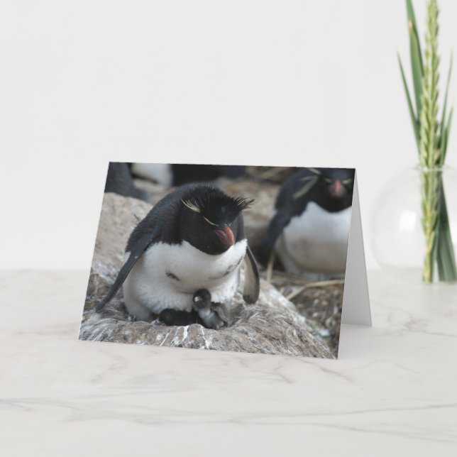 Cartão Rockhopper Penguin with Chicks (Frente)