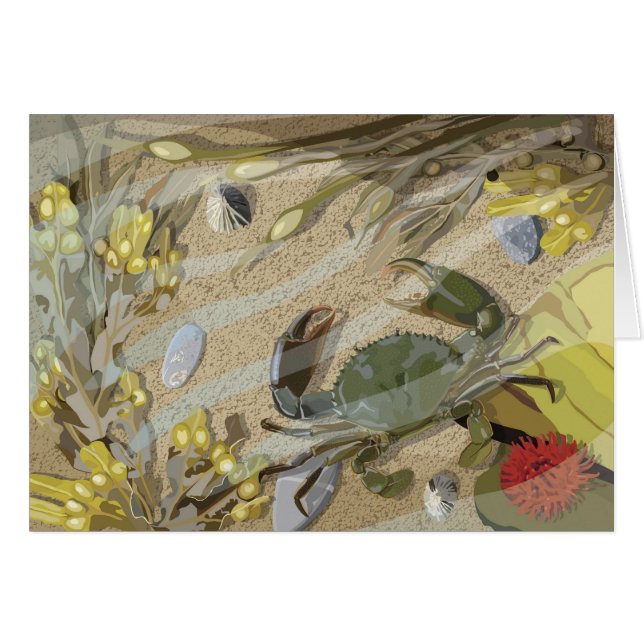 Cartão Rockpool (Frente Horizontal)