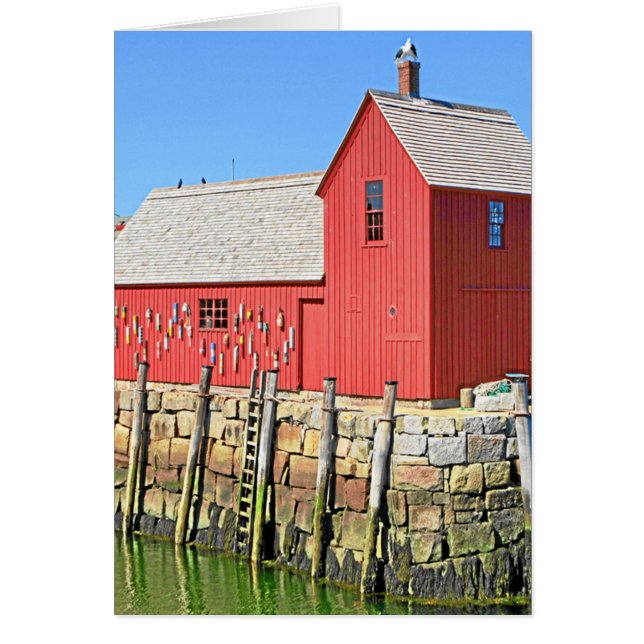 CARTÃO ROCKPORT, MÃES (Frente)