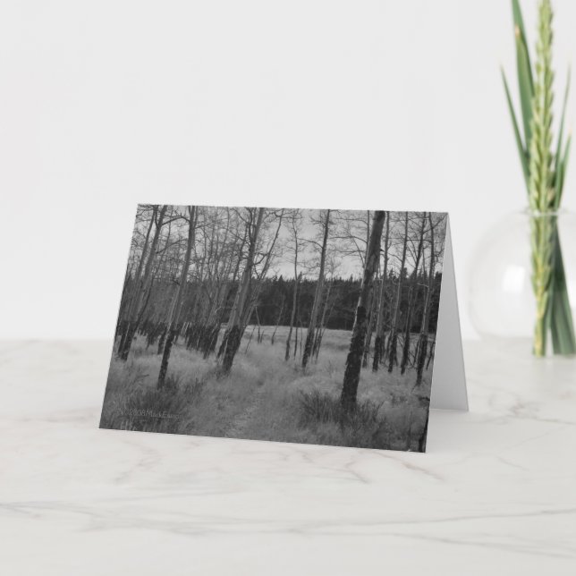 Cartão Rocky Mountain Aspen, Note card by Mark Easton (Frente)