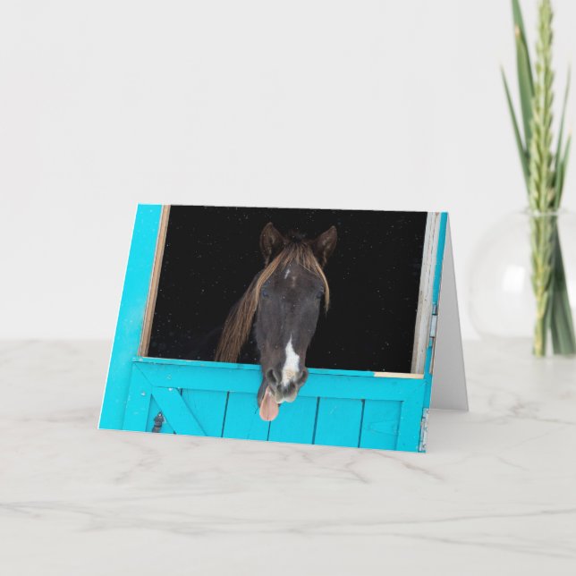 Cartão Rocky Mountain Yawn (Frente)