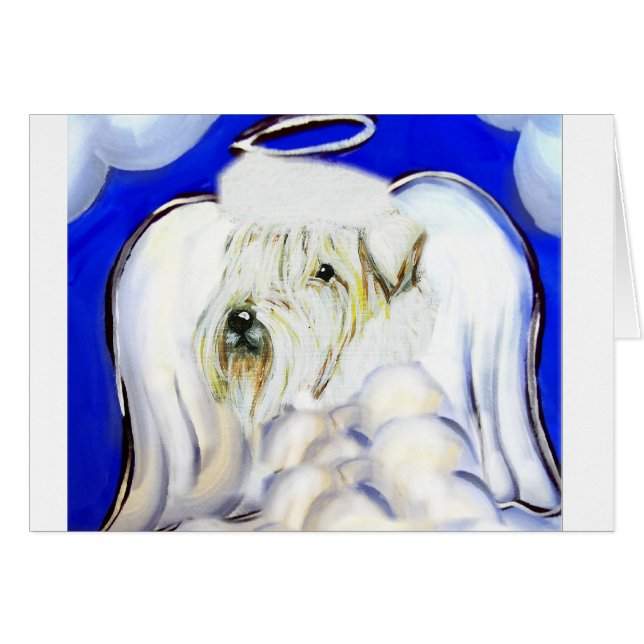 Cartão Roda Revestida Maciça (Frente Horizontal)