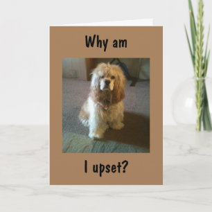 CARTÃO RODANDO "65" E AINDA PARECE "21" TÃO CHATEADO! CAR