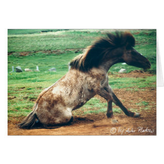 Cartão rodar em torno de 2