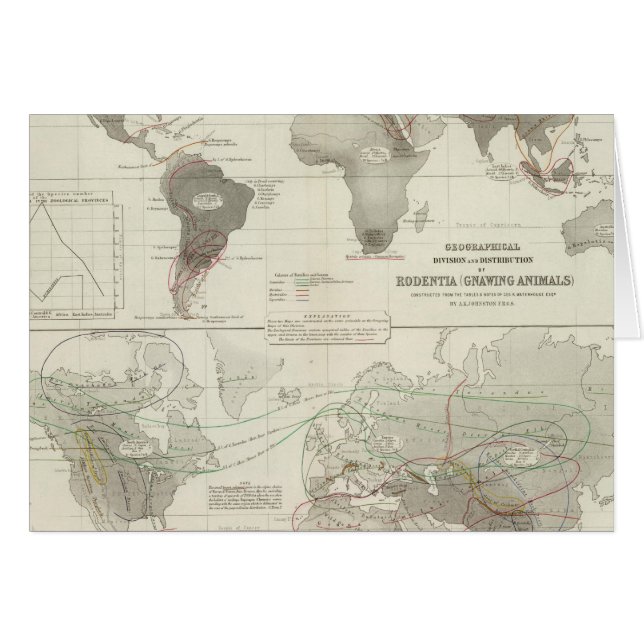 Cartão Rodentia, Ruminantia (Frente Horizontal)