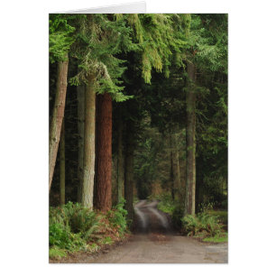 Cartão Rodoviário com Firs