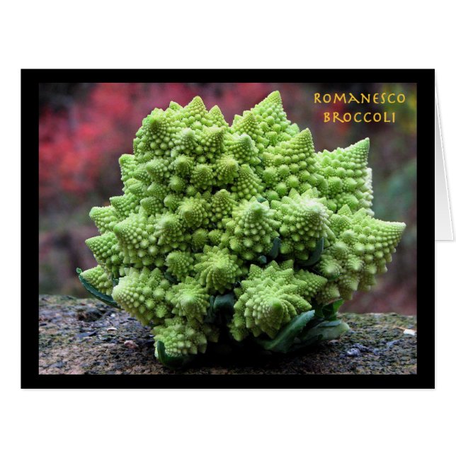 Cartão Romanesco Broccoli Vegetal (Frente horizontal)