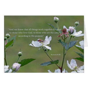 Cartão Romanos 8:28