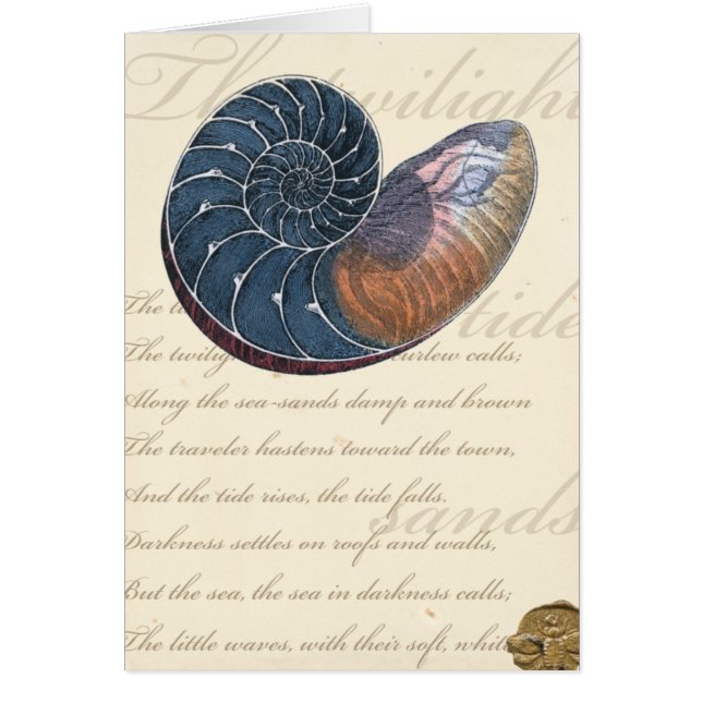 Cartão Romantic Seashell (Frente)