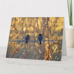 Cartão Romantic sparrow bird couple, Photo Big Greeting