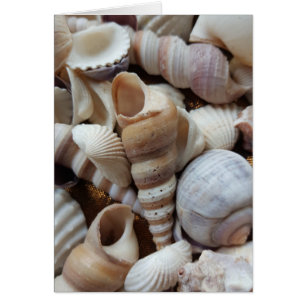 Cartão Romântica Marinha Tropical Exótica Prateleira Amor