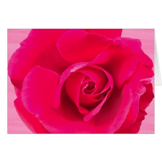 Cartão Romântico Rosa Vermelho Rosa v2 (Frente Horizontal)