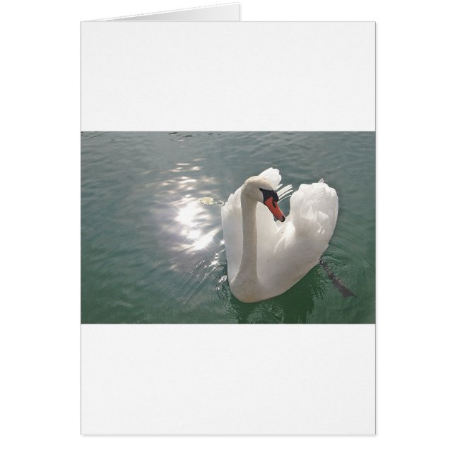 Cartão Romantischer weisser Schwan (Frente)